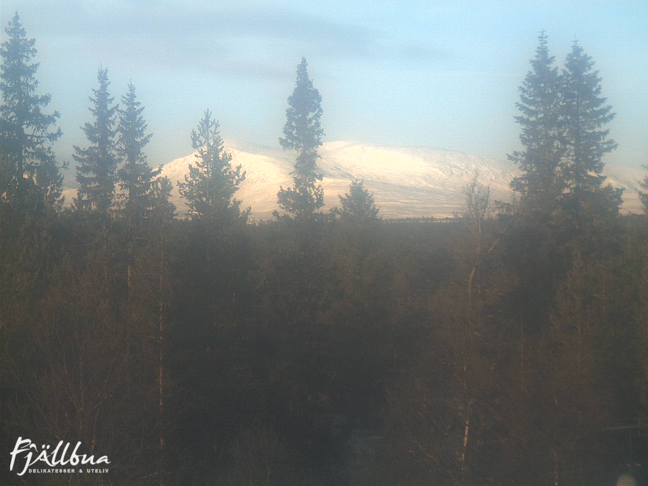 Fjällbua webcam 2024-11-22 12:00