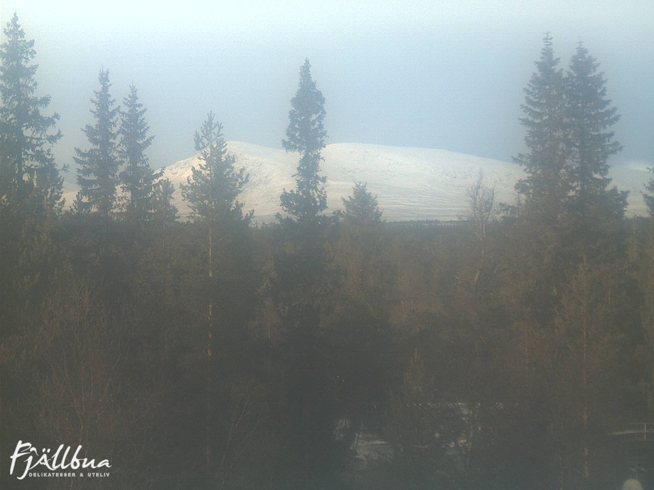 Fjällbua webcam 2024-11-22 13:00