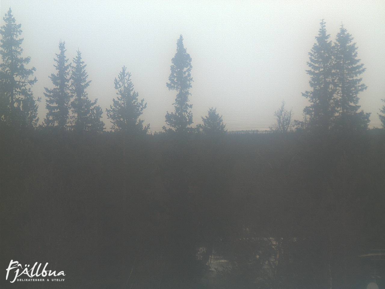 Fjällbua webcam 2024-11-22 13:30