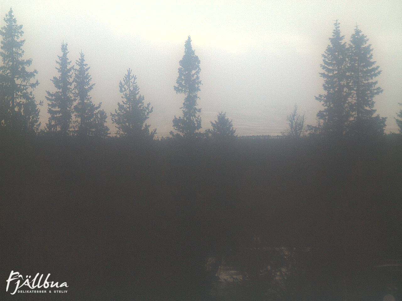 Fjällbua webcam 2024-11-22 15:30