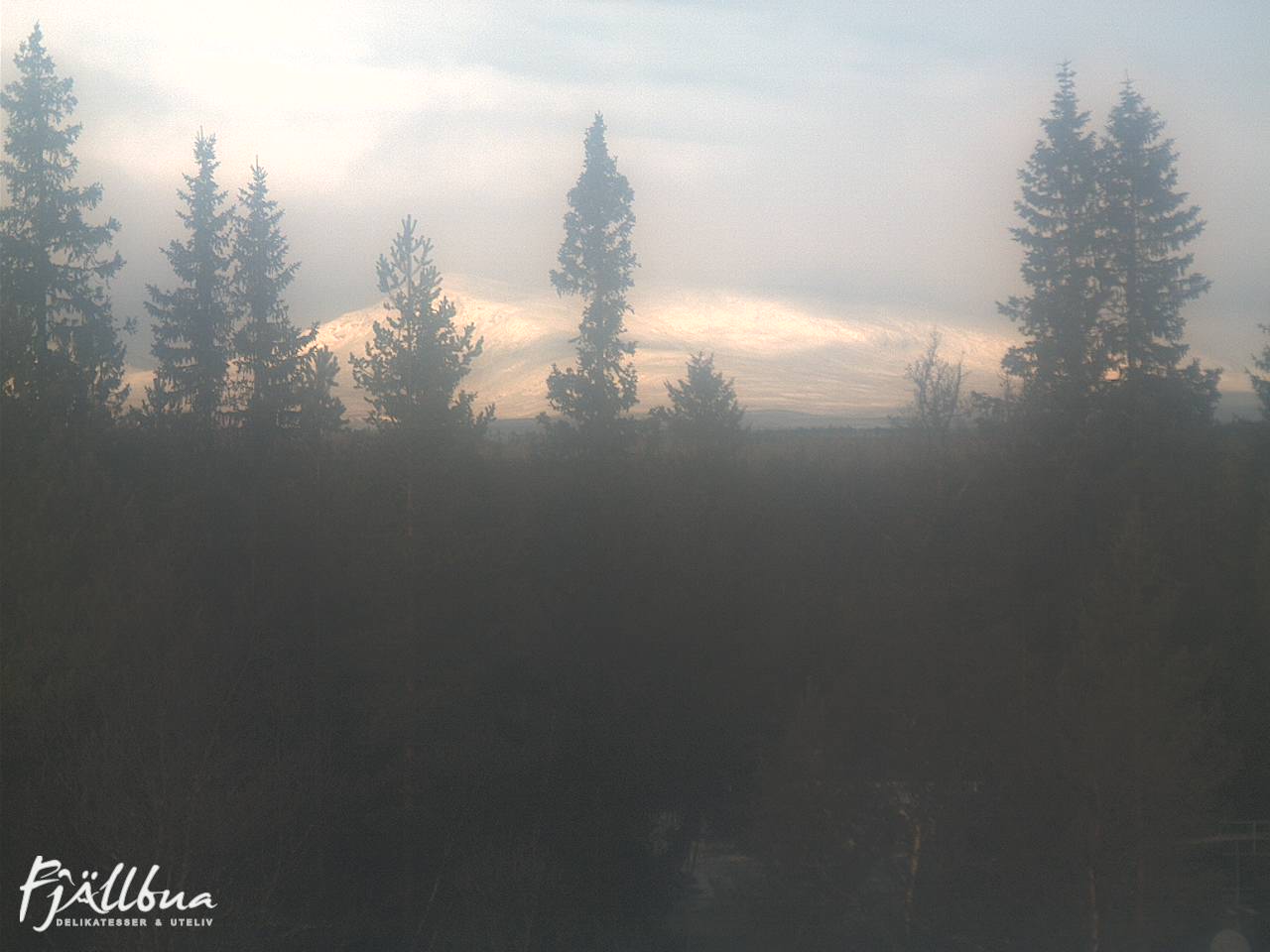 Fjällbua webcam 2024-11-23 10:30