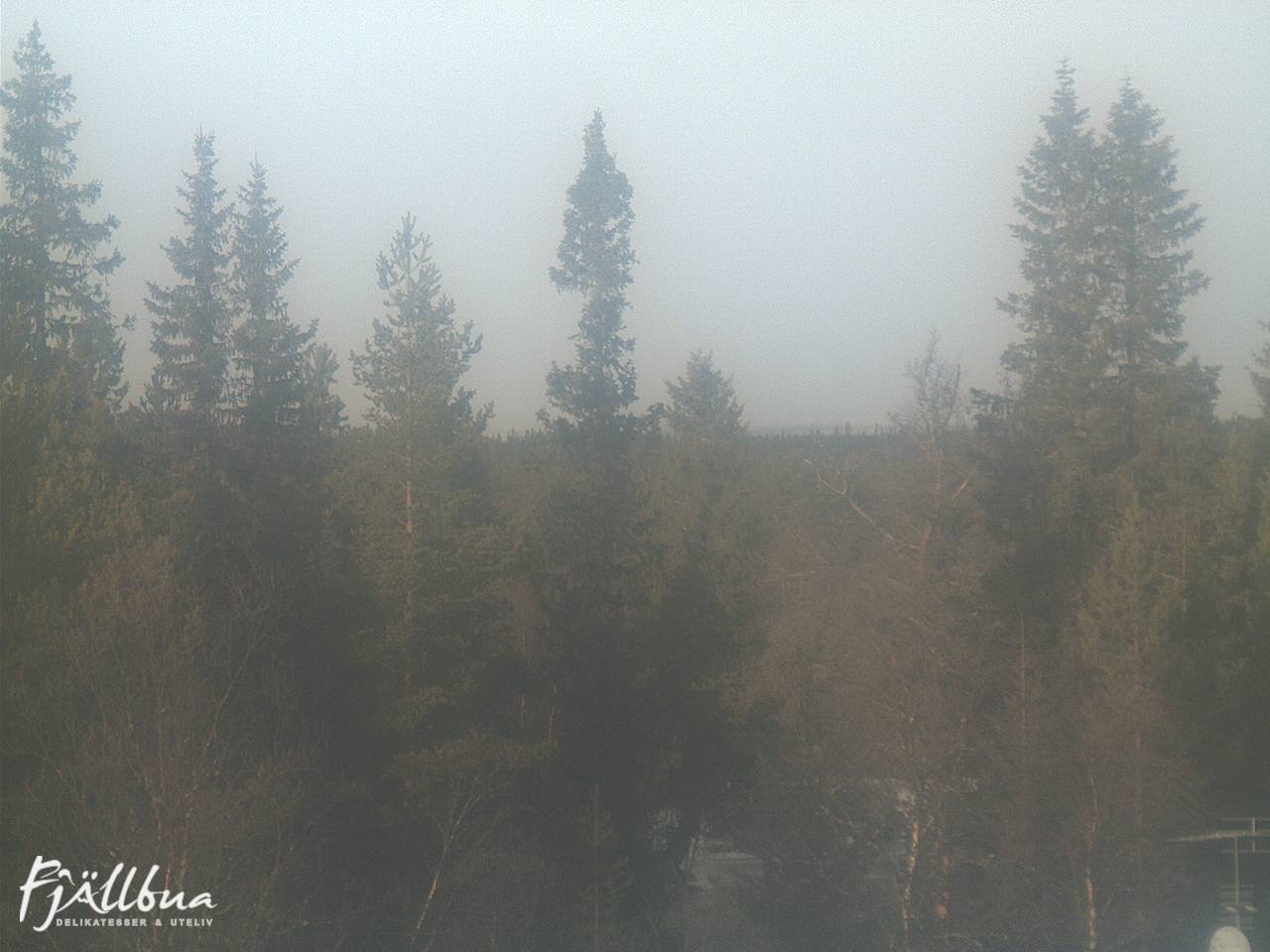 Fjällbua webcam 2024-11-23 11:00