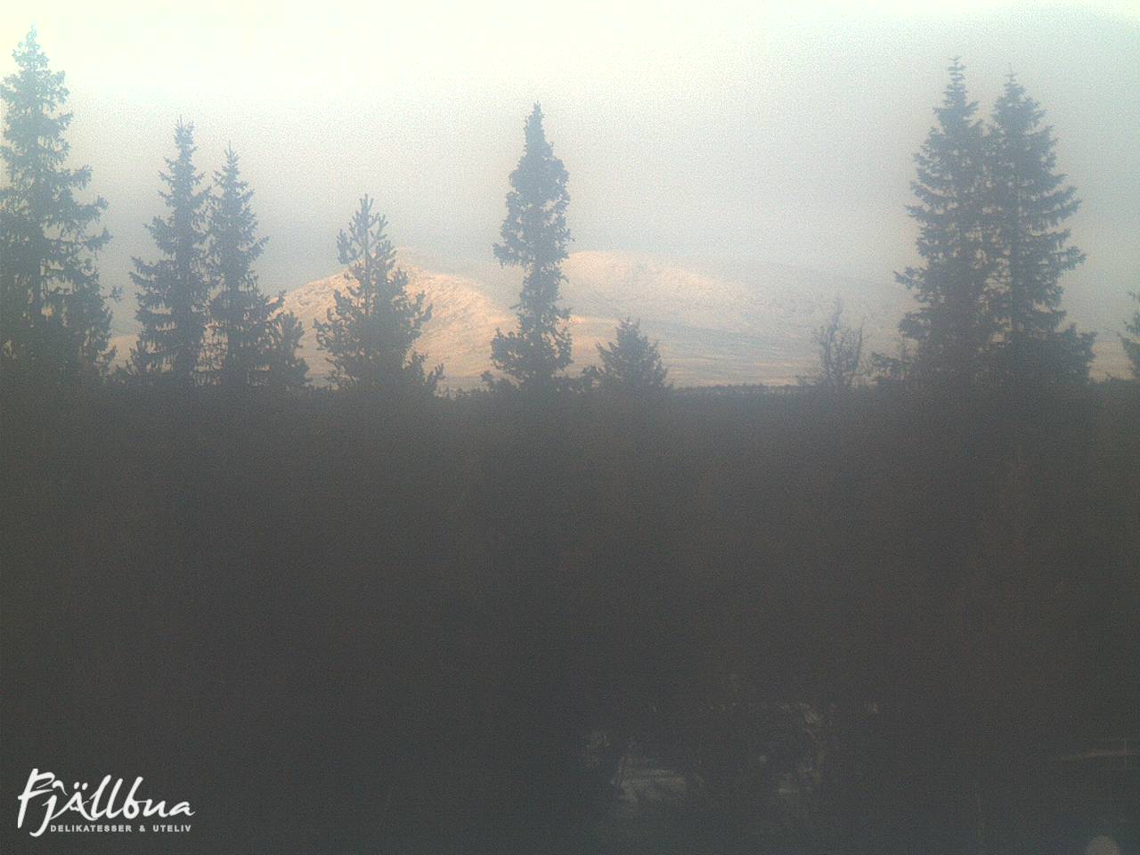 Fjällbua webcam 2024-11-23 15:30