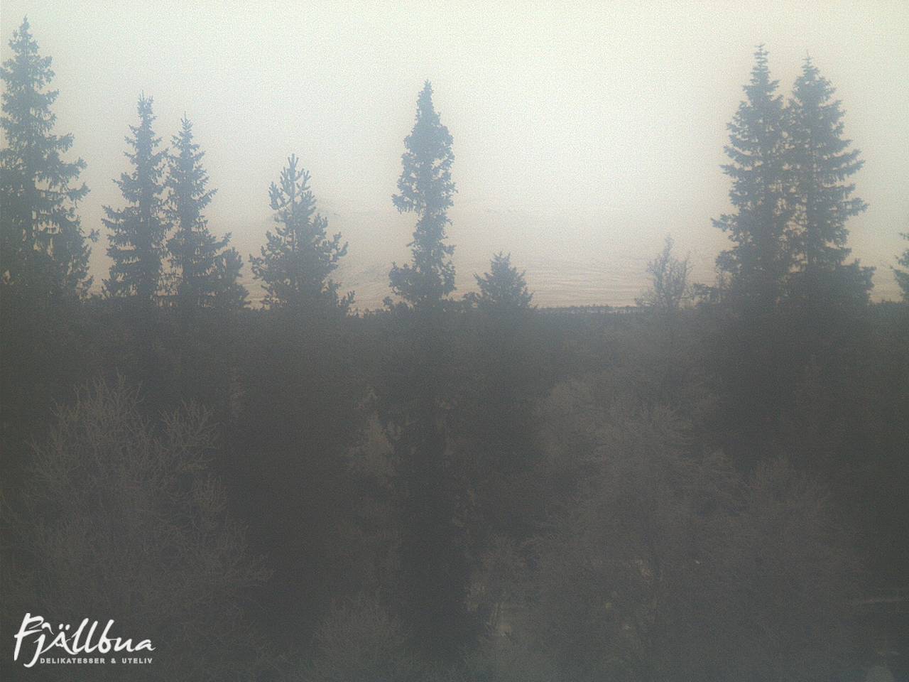 Fjällbua webcam 2024-11-24 09:00