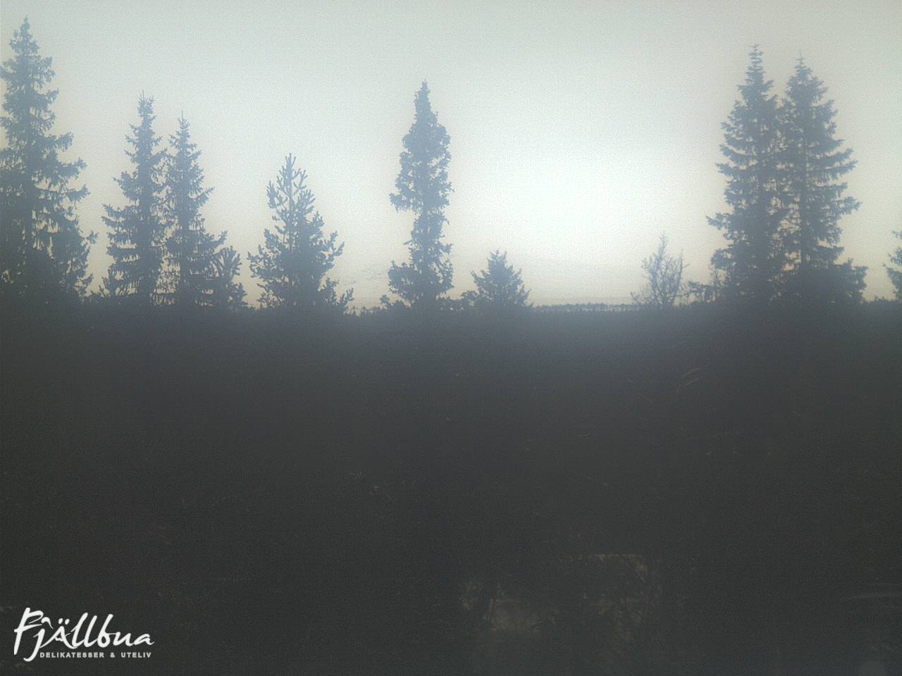 Fjällbua webcam 2024-11-25 11:30