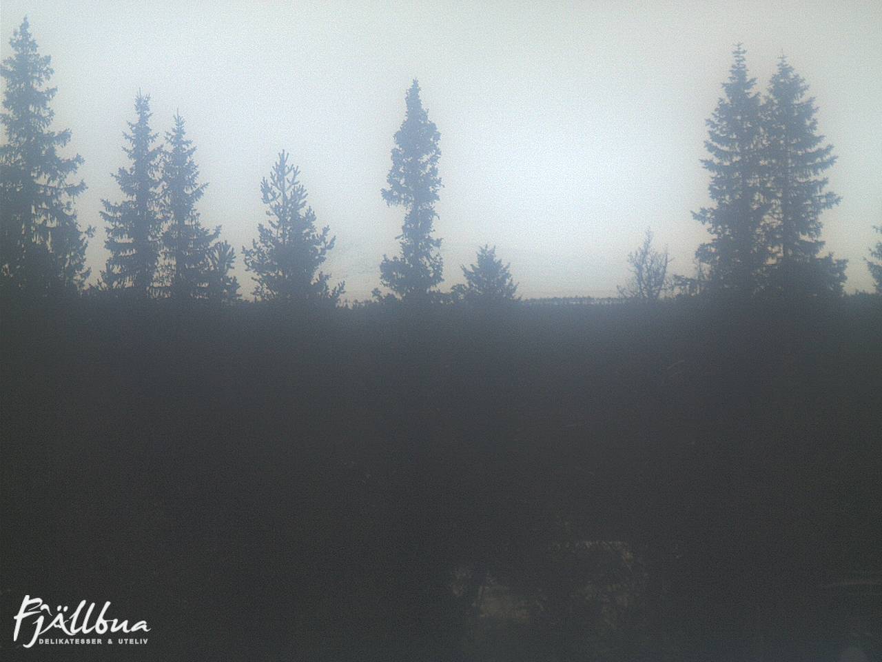 Fjällbua webcam 2024-11-25 13:00