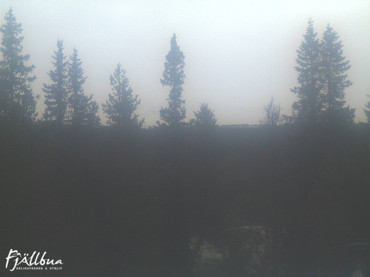 Fjällbua webcam 2024-11-25 14:30