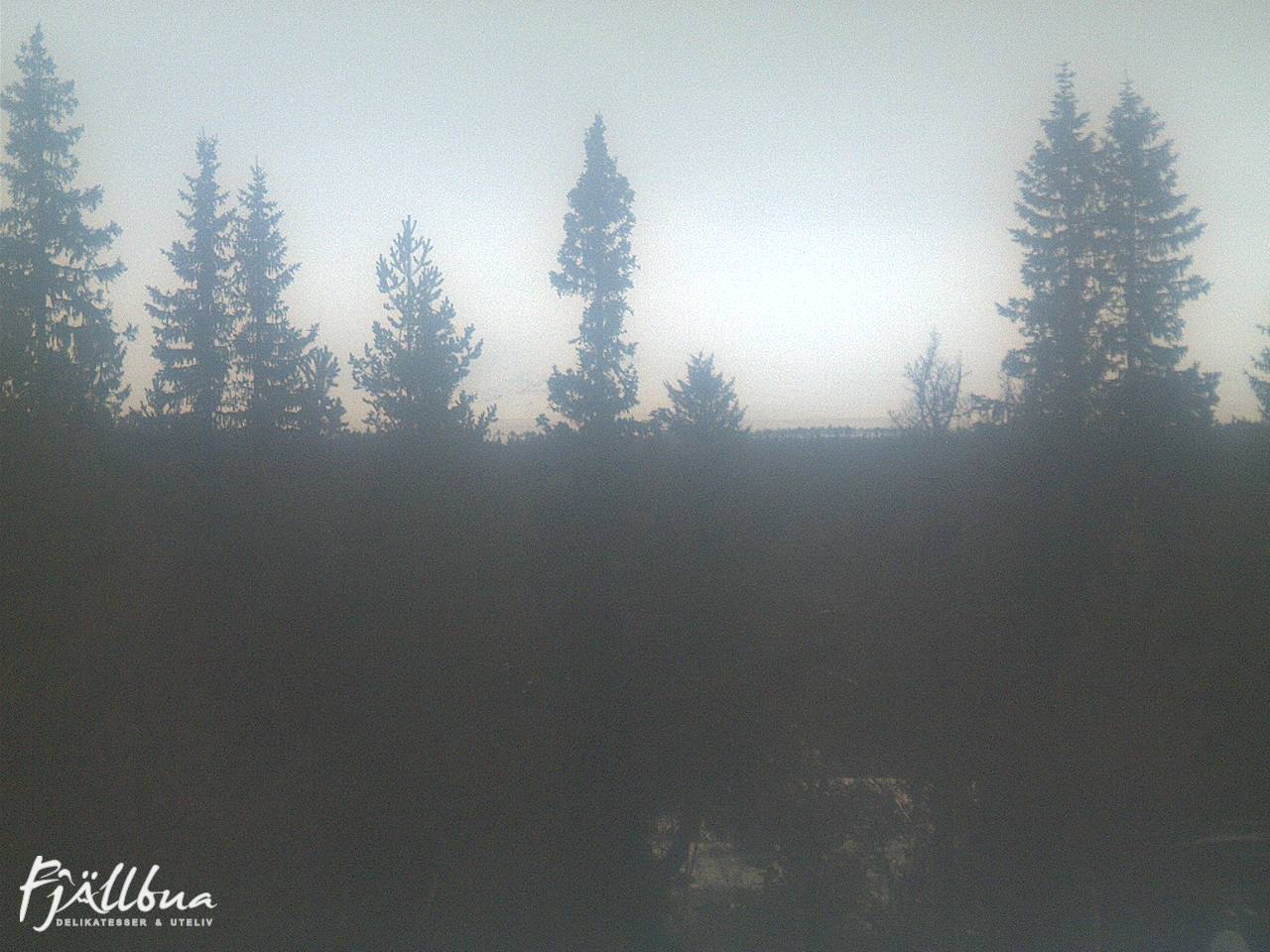 Fjällbua webcam 2024-11-25 15:30