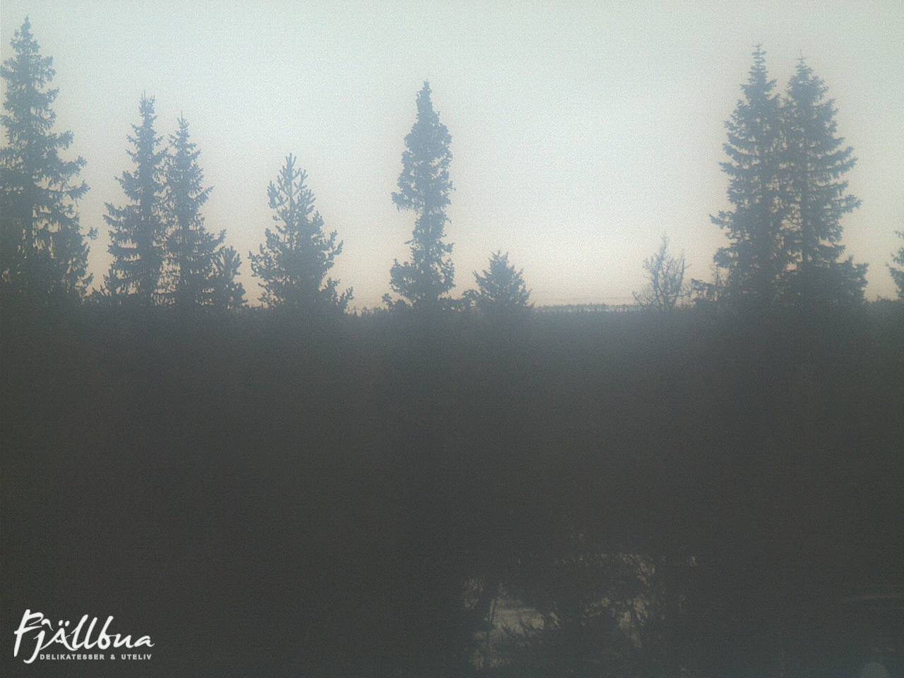 Fjällbua webcam 2024-11-26 09:00