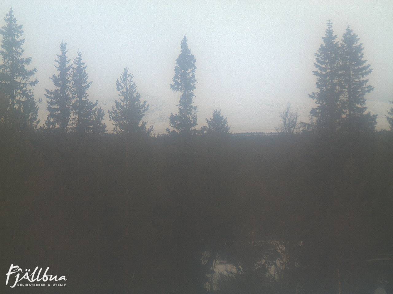 Fjällbua webcam 2024-11-27 09:00