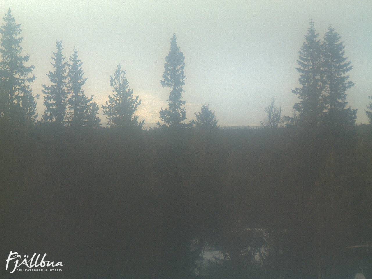 Fjällbua webcam 2024-11-28 15:30