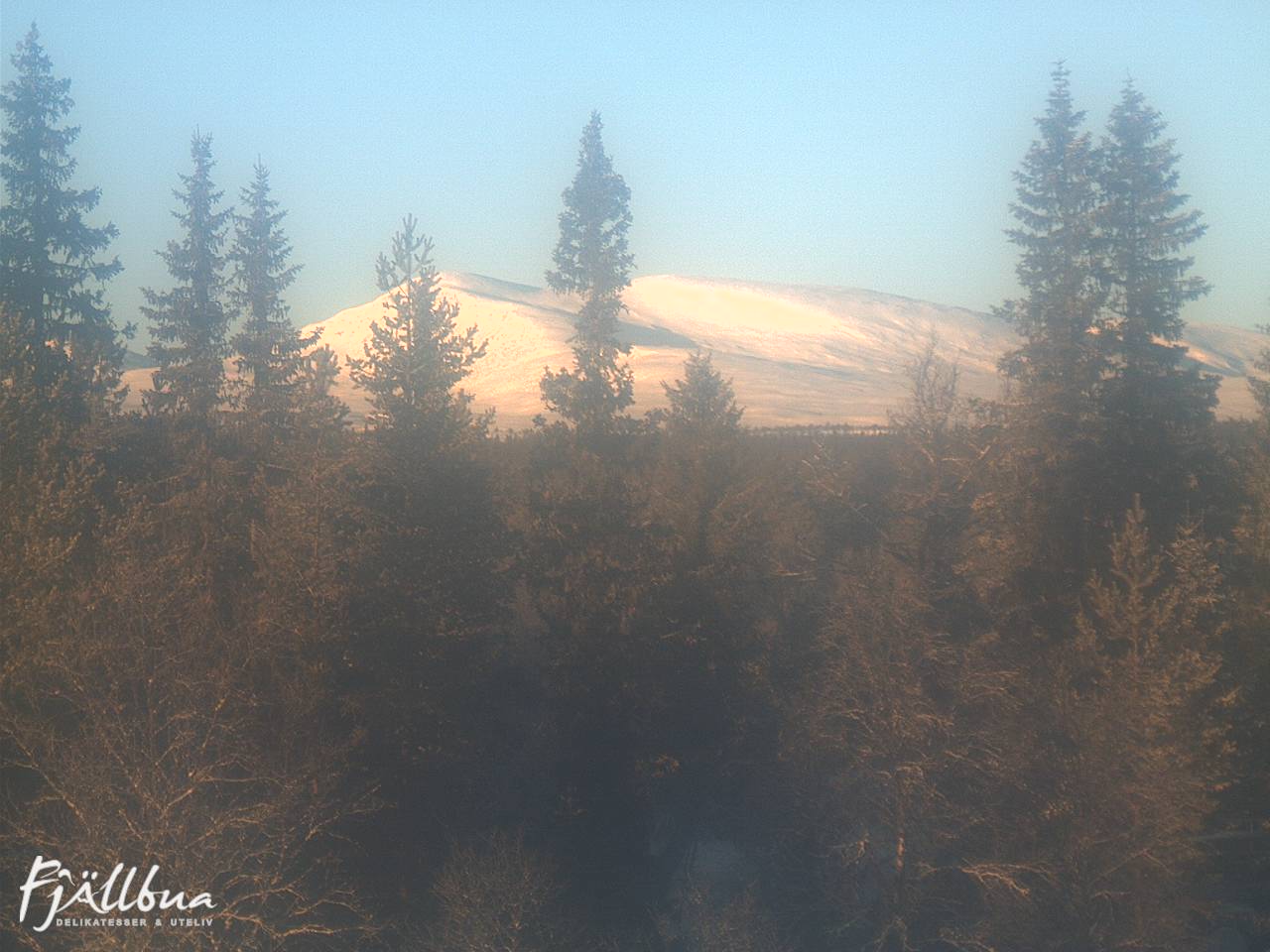 Fjällbua webcam 2025-01-01 12:30