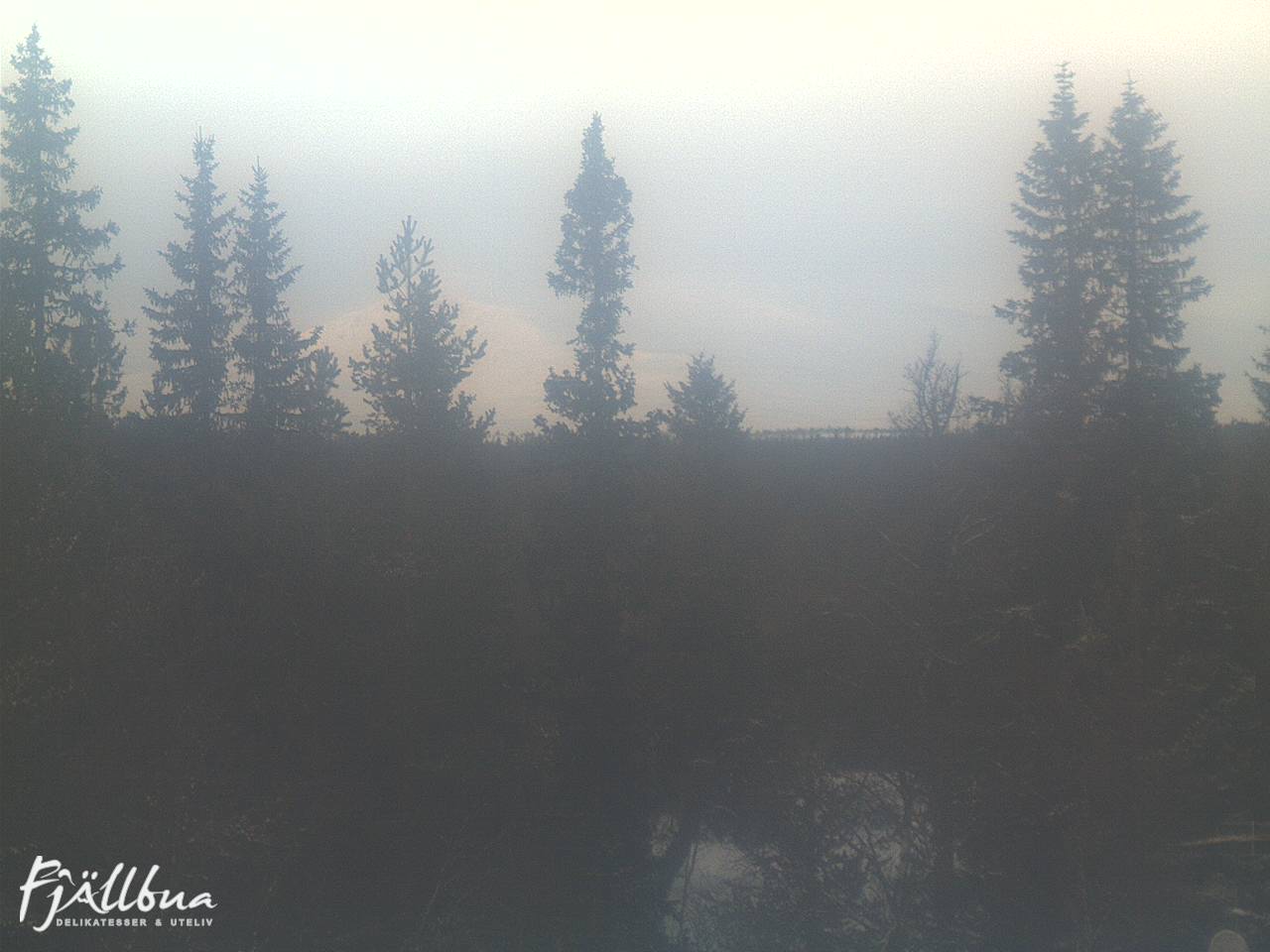 Fjällbua webcam 2025-01-02 14:30