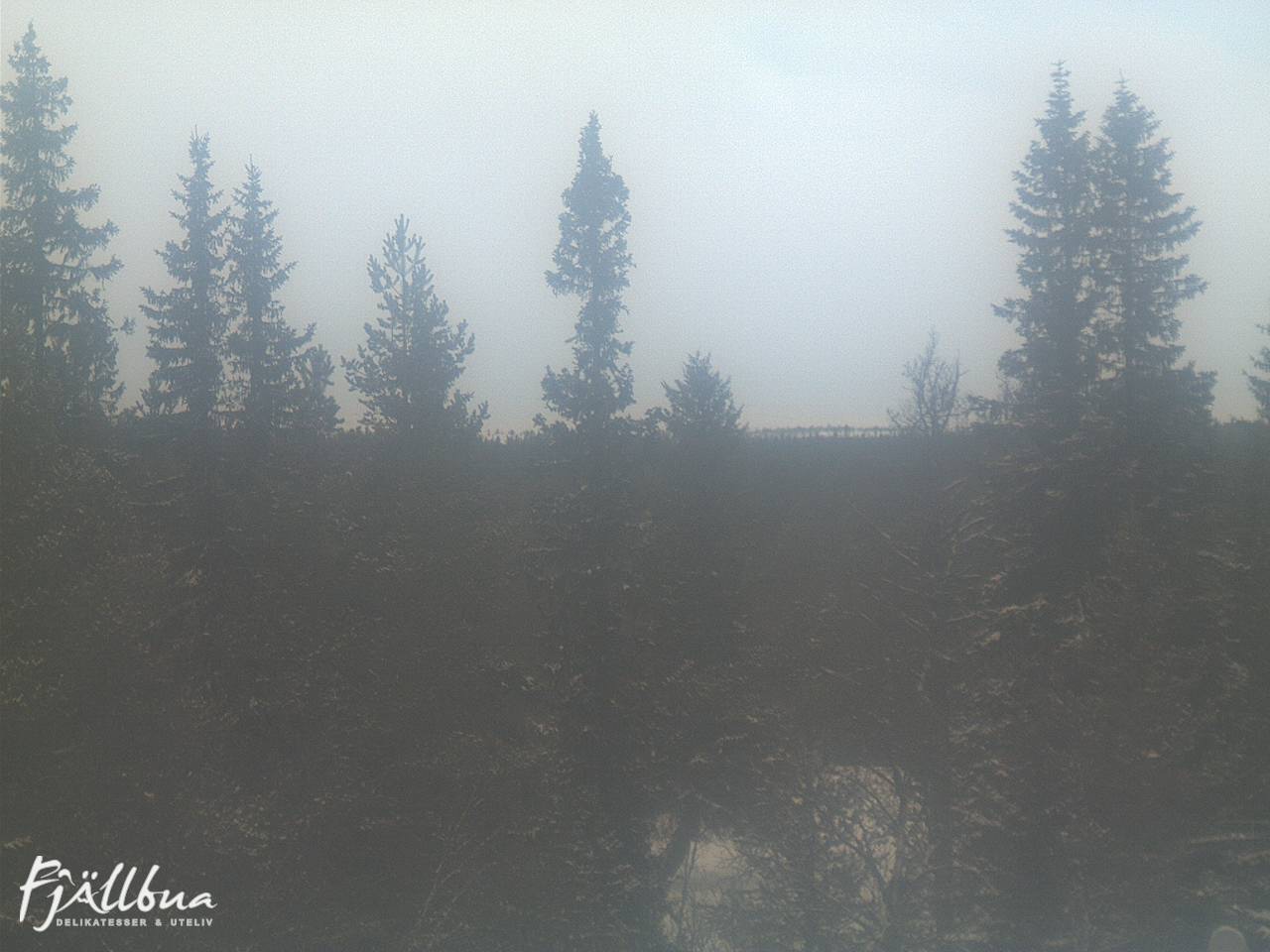 Fjällbua webcam 2025-01-09 13:30