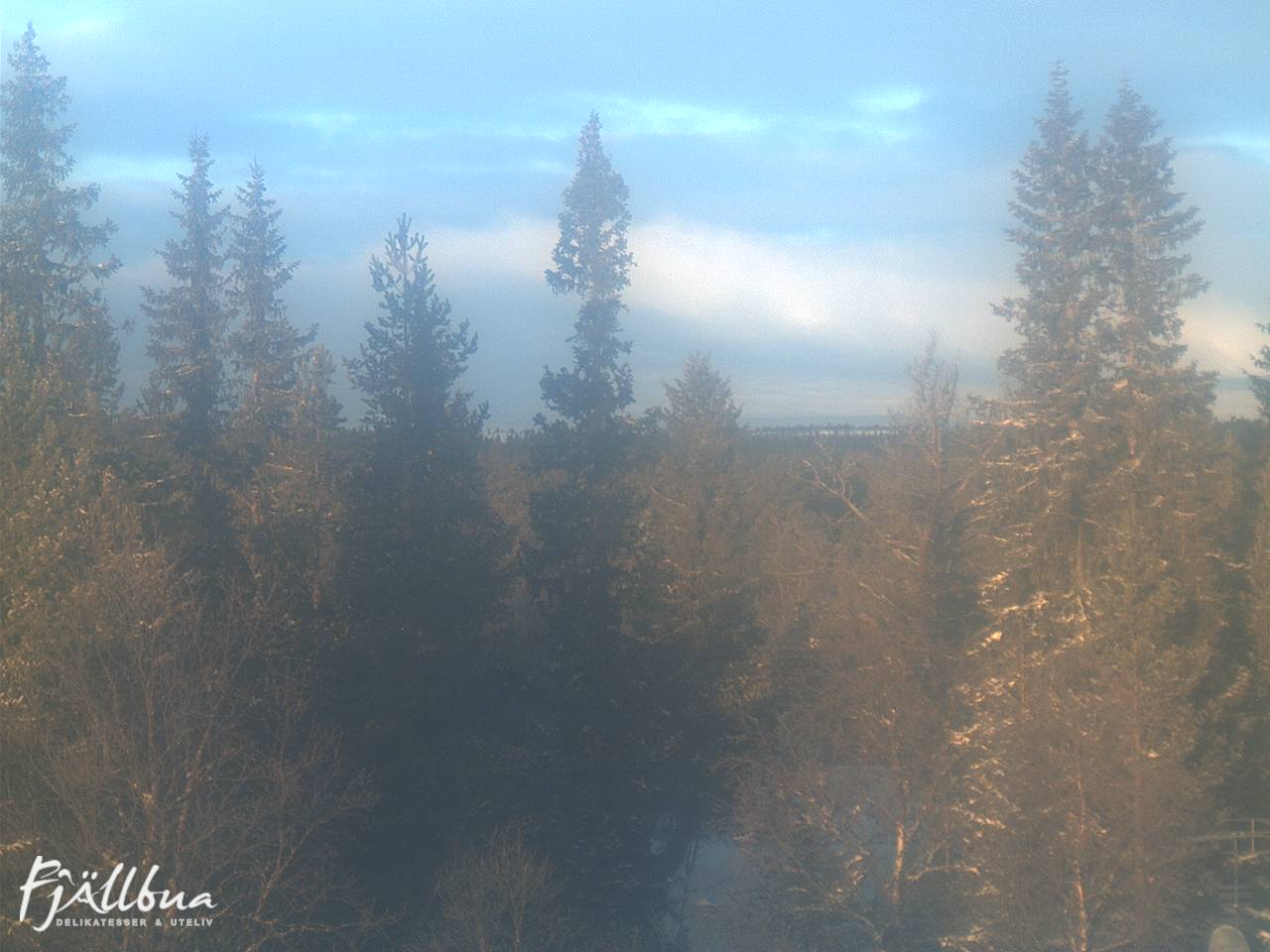 Fjällbua webcam 2025-01-10 10:30