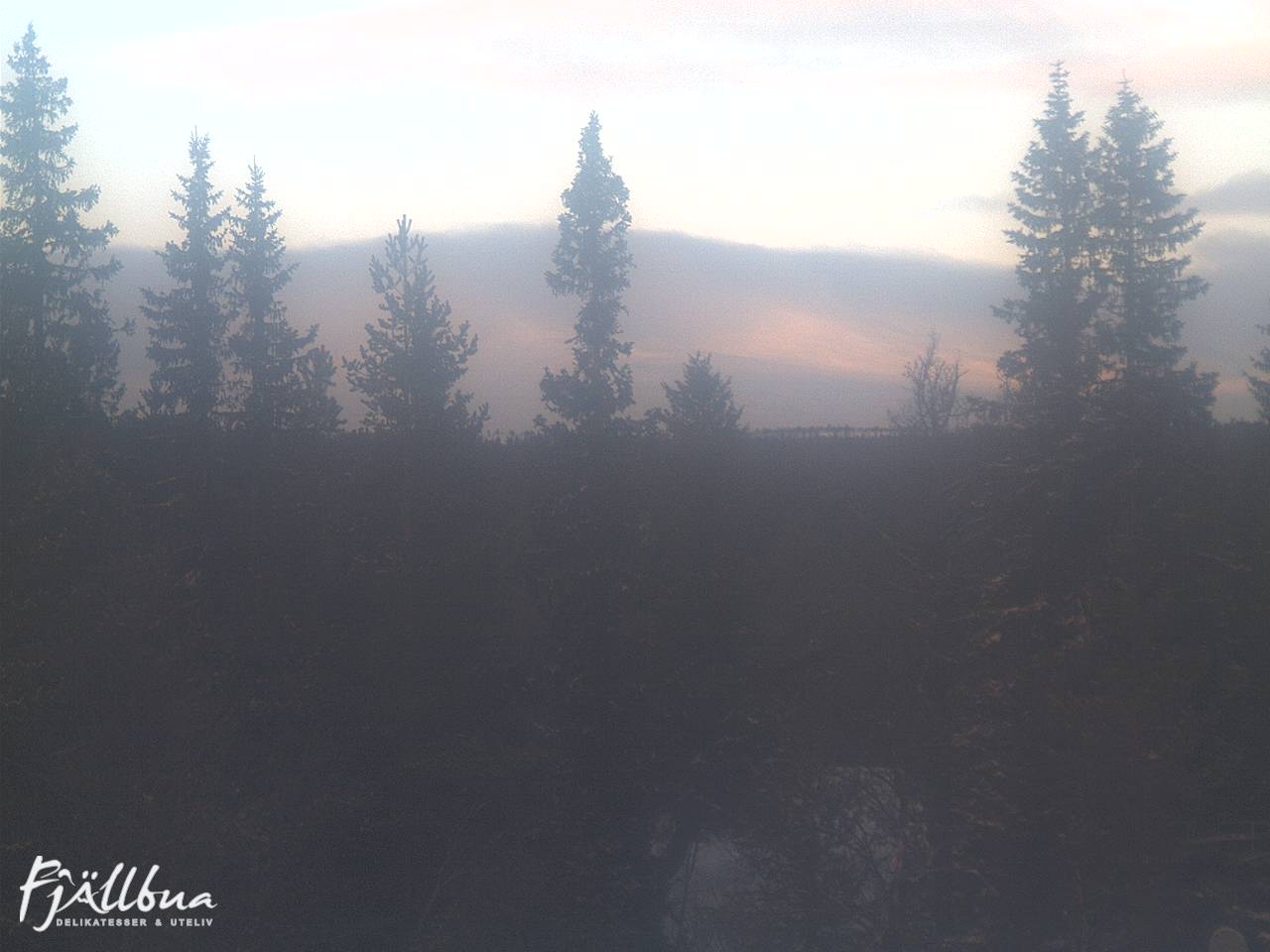 Fjällbua webcam 2025-01-10 11:00