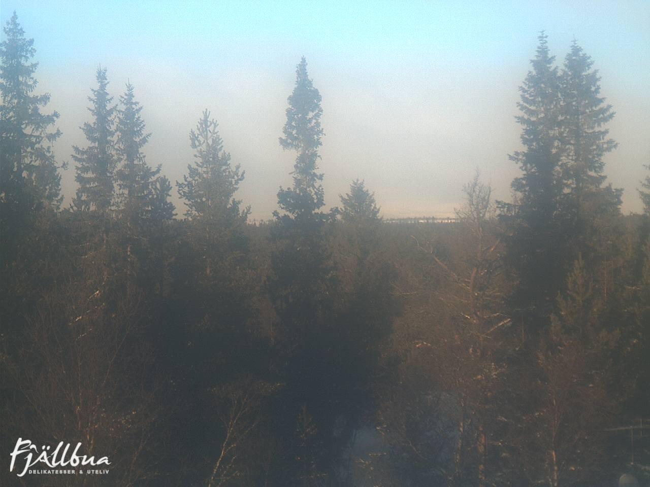 Fjällbua webcam 2025-01-11 11:30