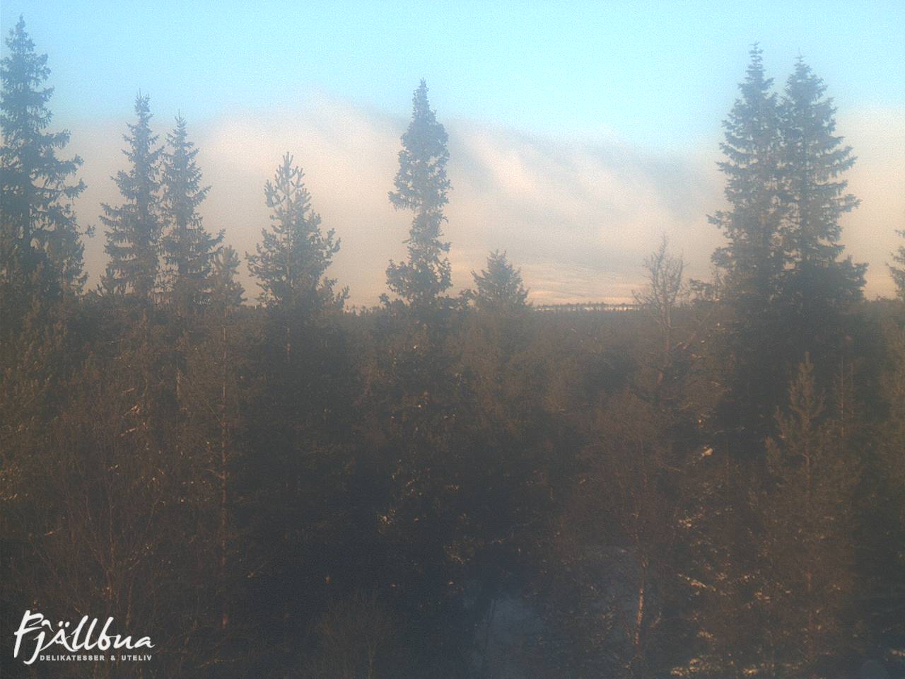 Fjällbua webcam 2025-01-11 12:30