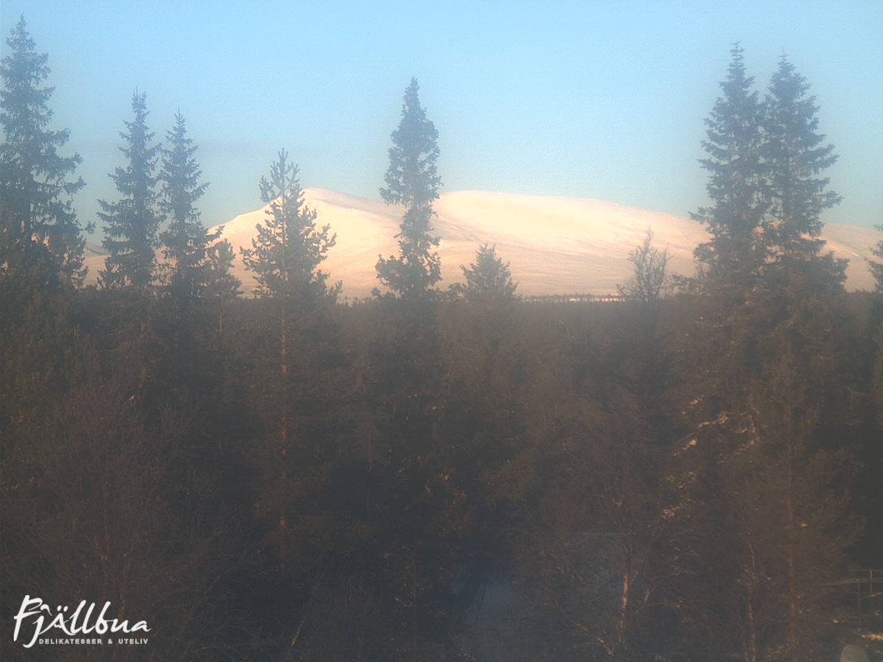 Fjällbua webcam 2025-01-12 11:00