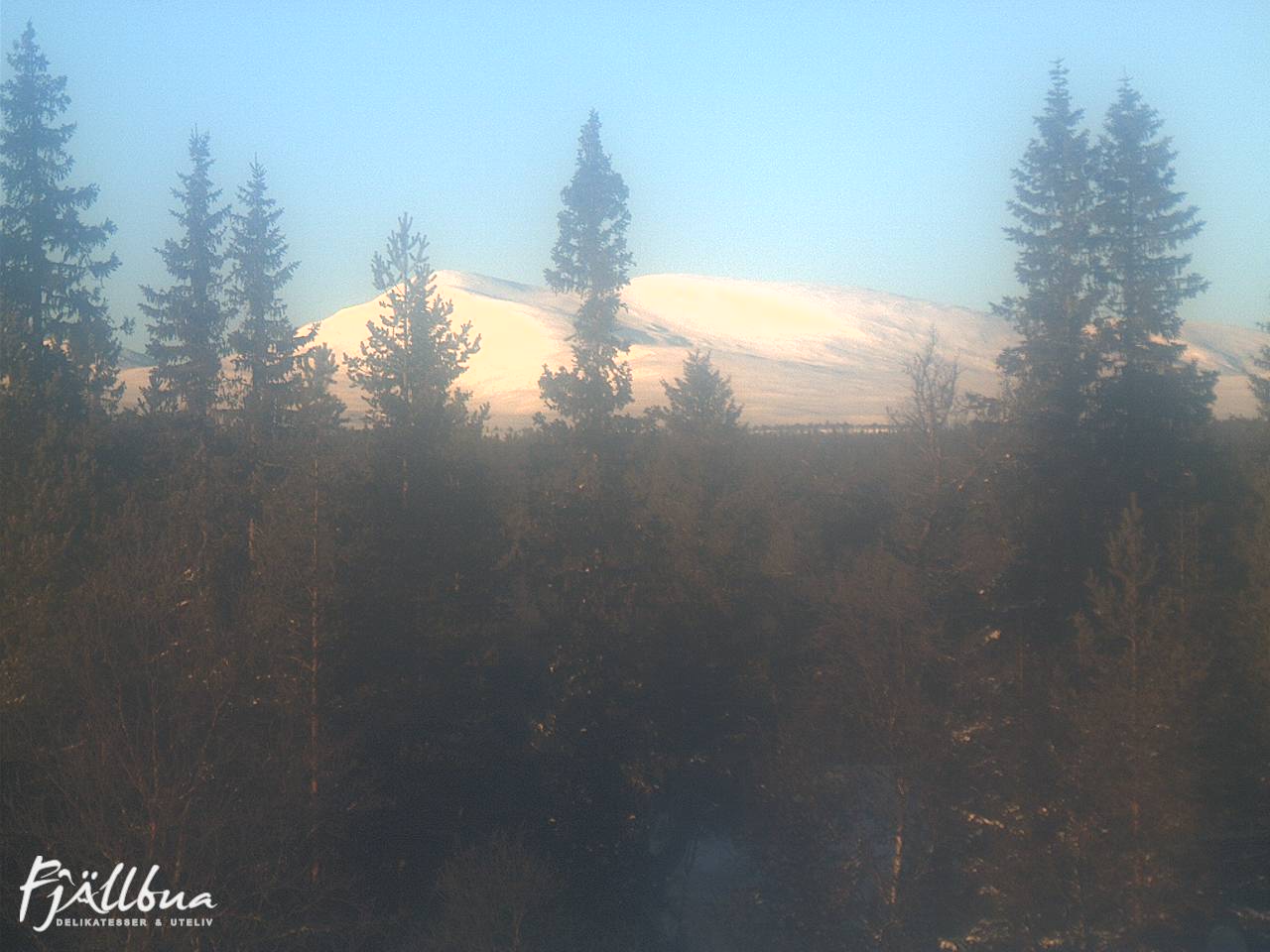 Fjällbua webcam 2025-01-12 12:30