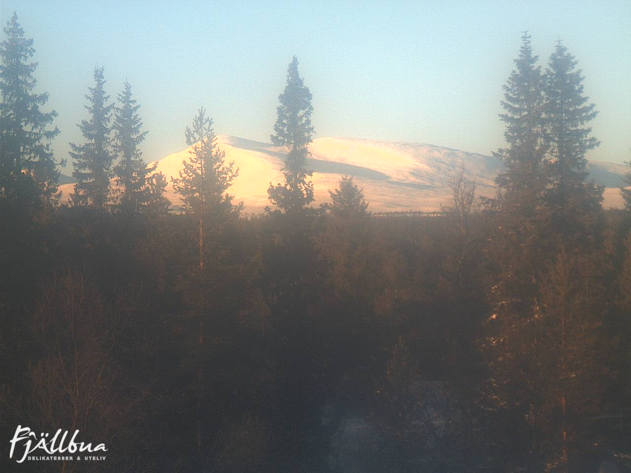 Fjällbua webcam 2025-01-12 13:30