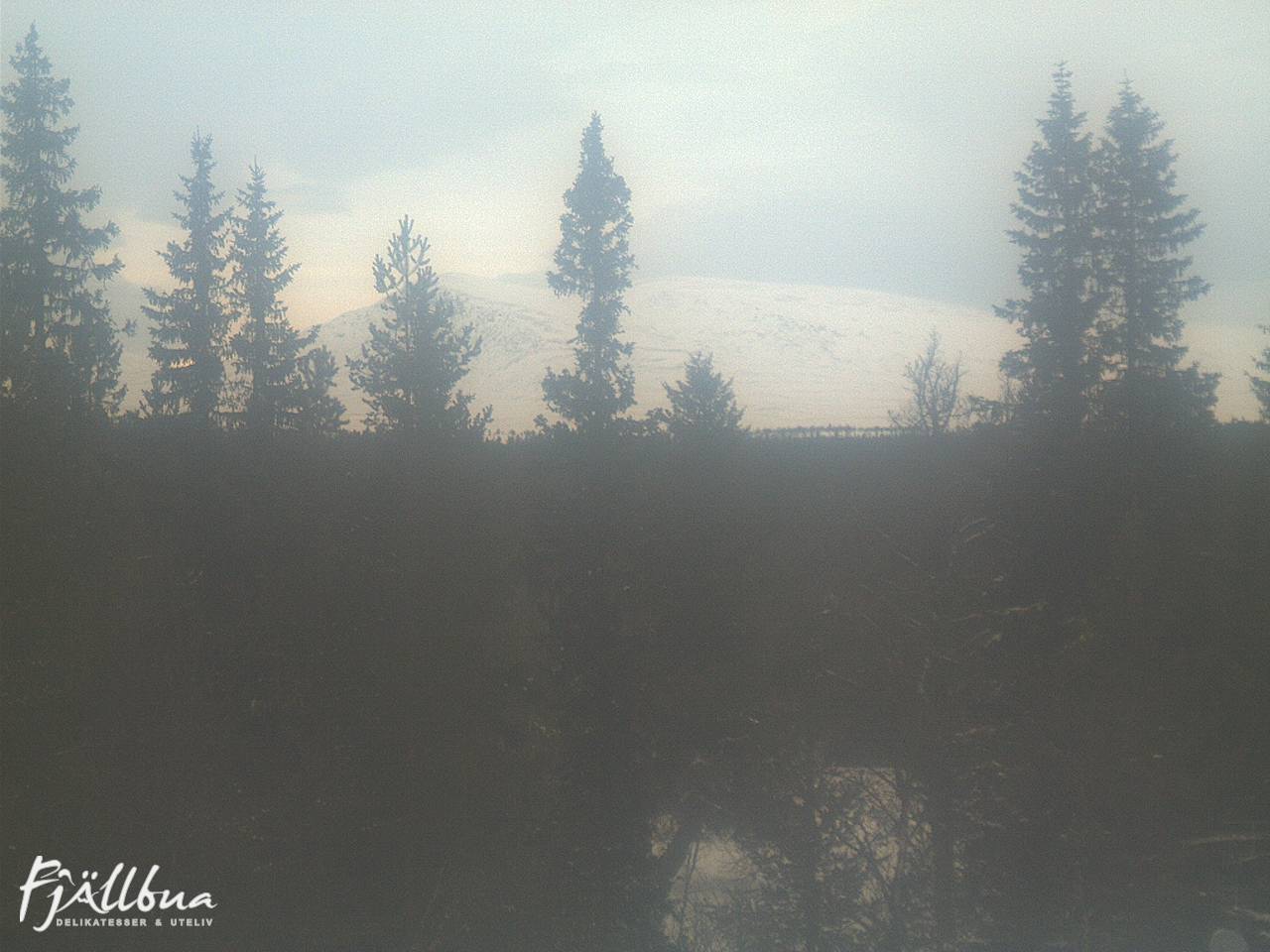 Fjällbua webcam 2025-01-13 10:30