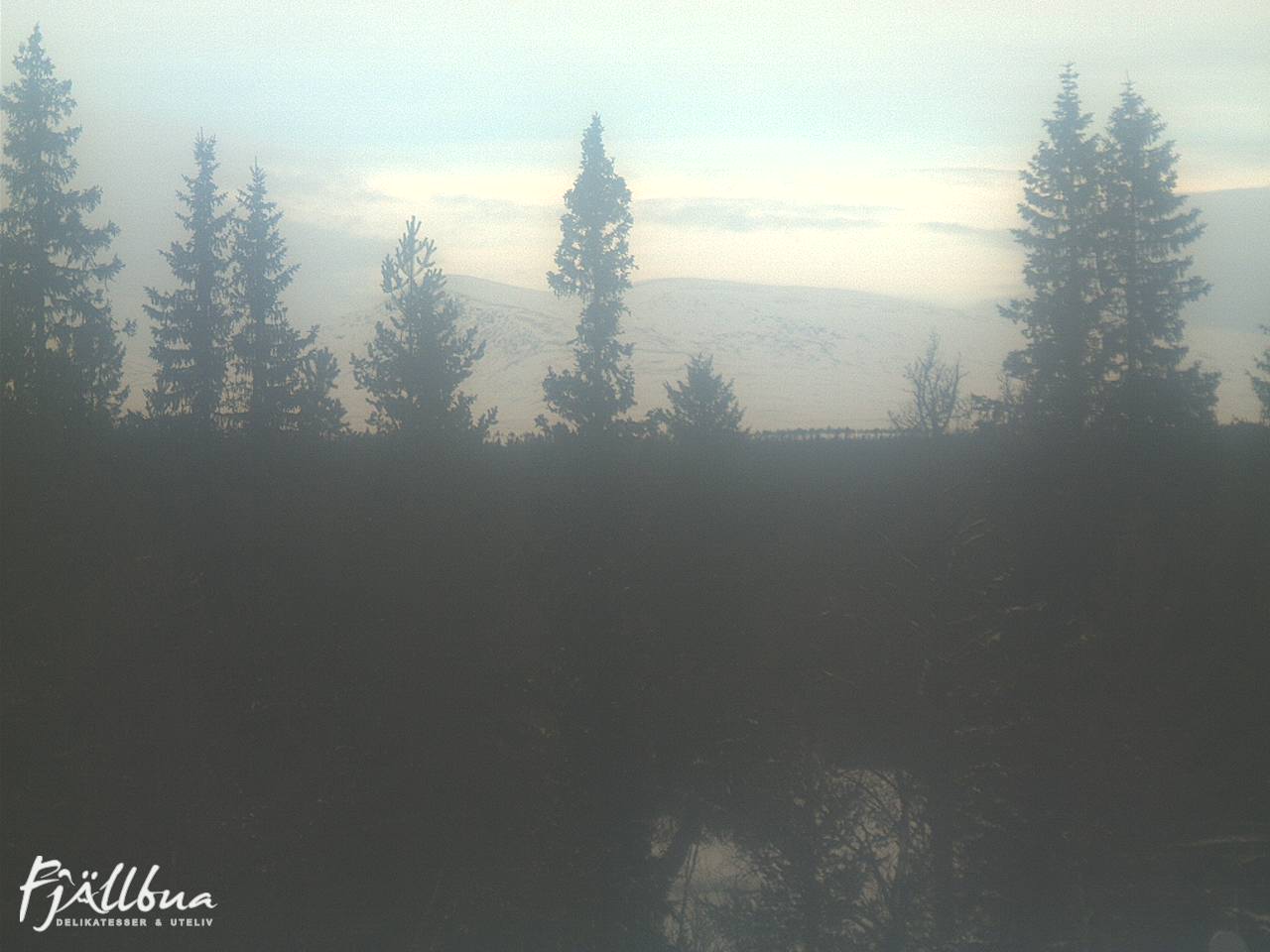 Fjällbua webcam 2025-01-13 13:00