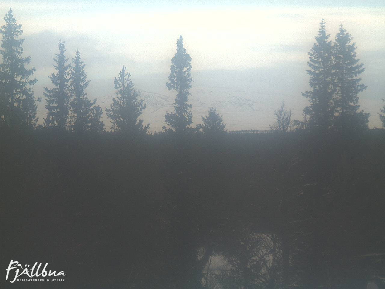 Fjällbua webcam 2025-01-13 13:30