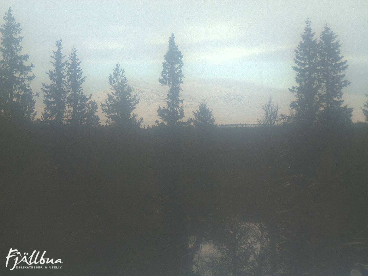 Fjällbua webcam 2025-01-13 14:00