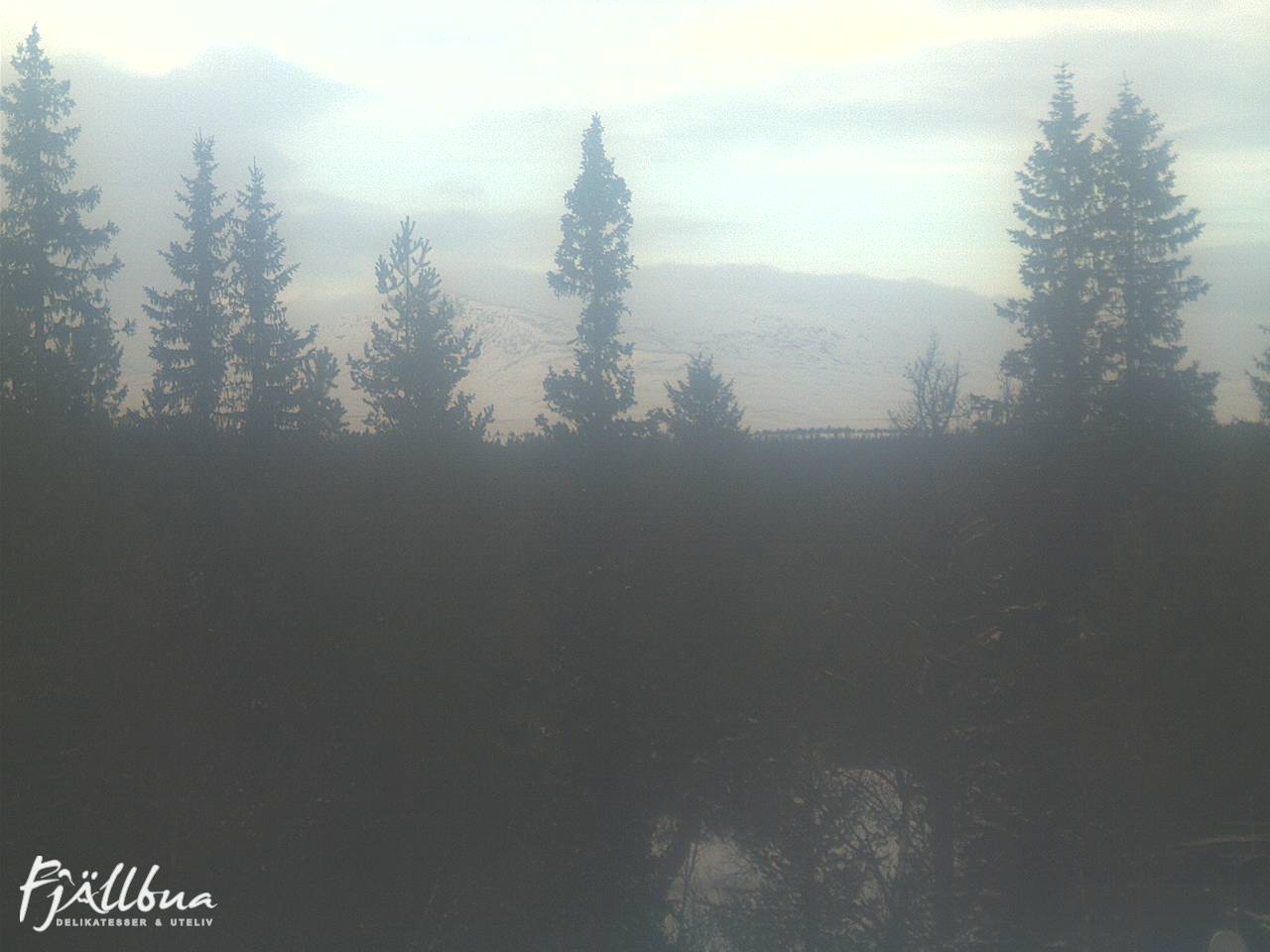 Fjällbua webcam 2025-01-13 14:30