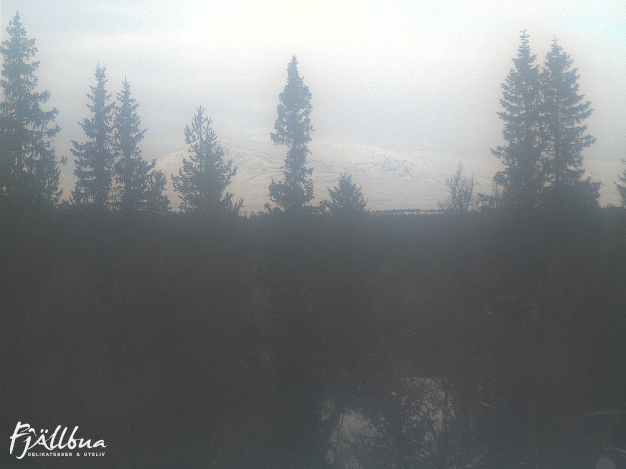 Fjällbua webcam 2025-01-14 12:00