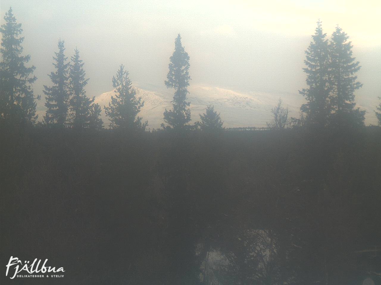 Fjällbua webcam 2025-01-14 12:30