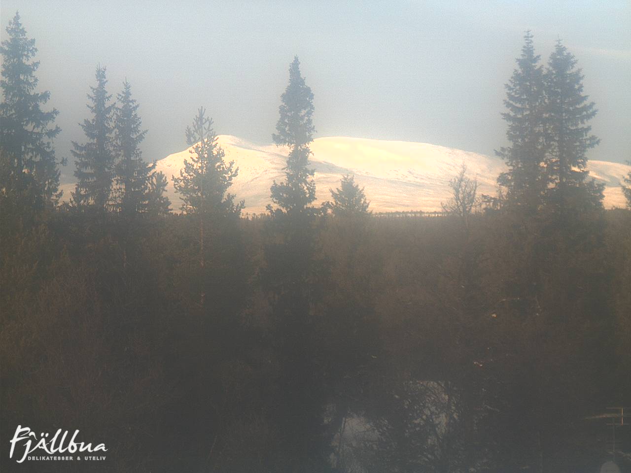 Fjällbua webcam 2025-01-14 13:00