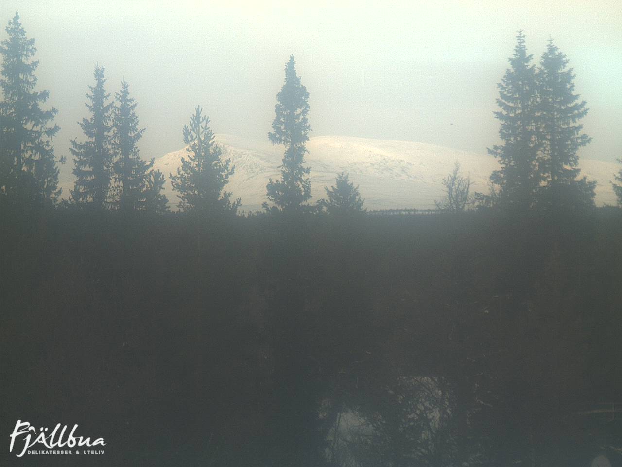 Fjällbua webcam 2025-01-14 13:30