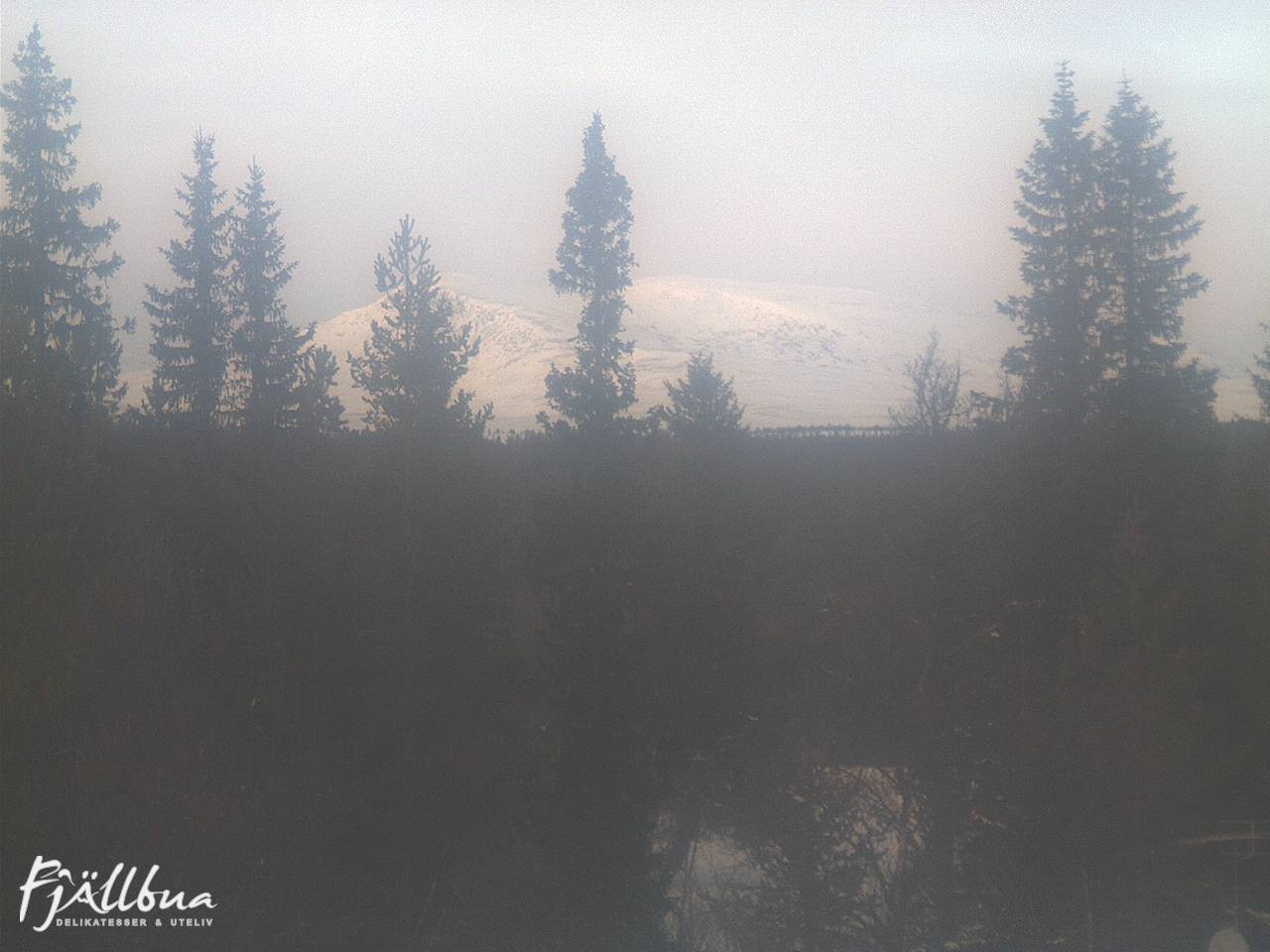 Fjällbua webcam 2025-01-14 14:00