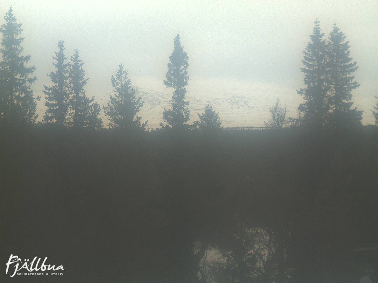 Fjällbua webcam 2025-01-15 12:00