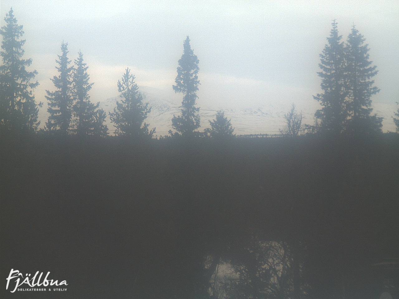 Fjällbua webcam 2025-01-15 14:00