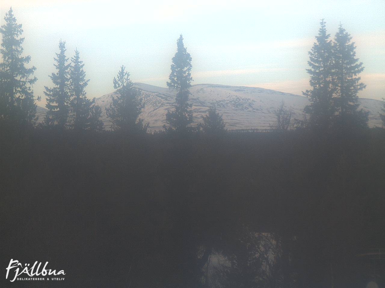 Fjällbua webcam 2025-01-16 13:00