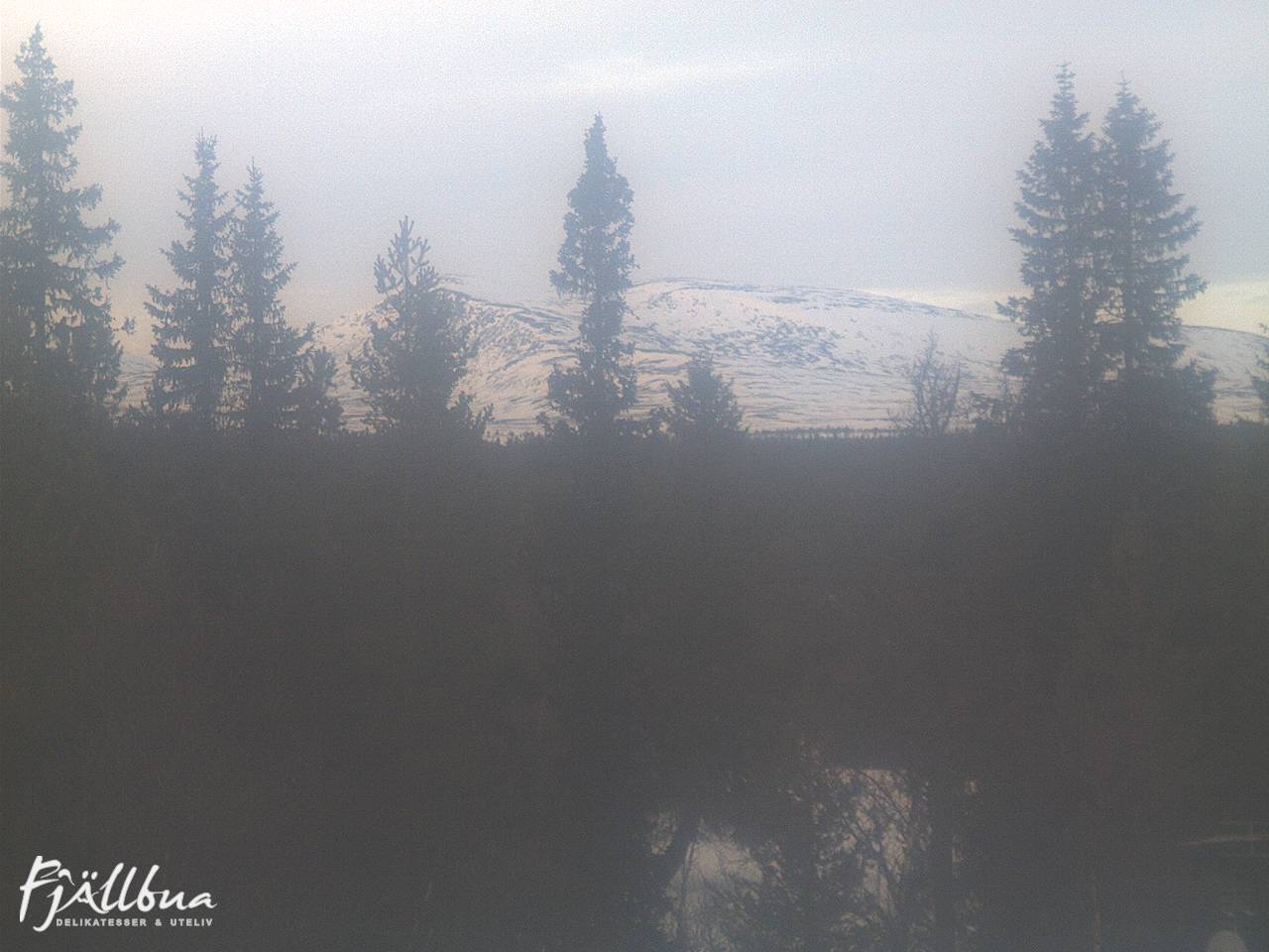 Fjällbua webcam 2025-01-16 14:30