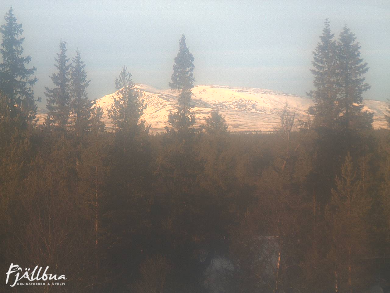 Fjällbua webcam 2025-01-17 12:30