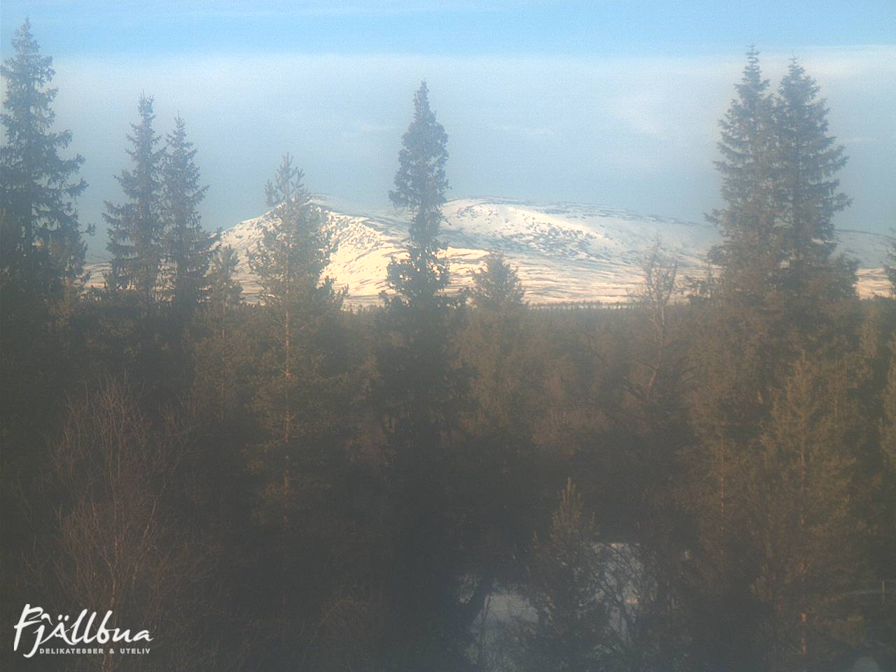 Fjällbua webcam 2025-01-17 13:30