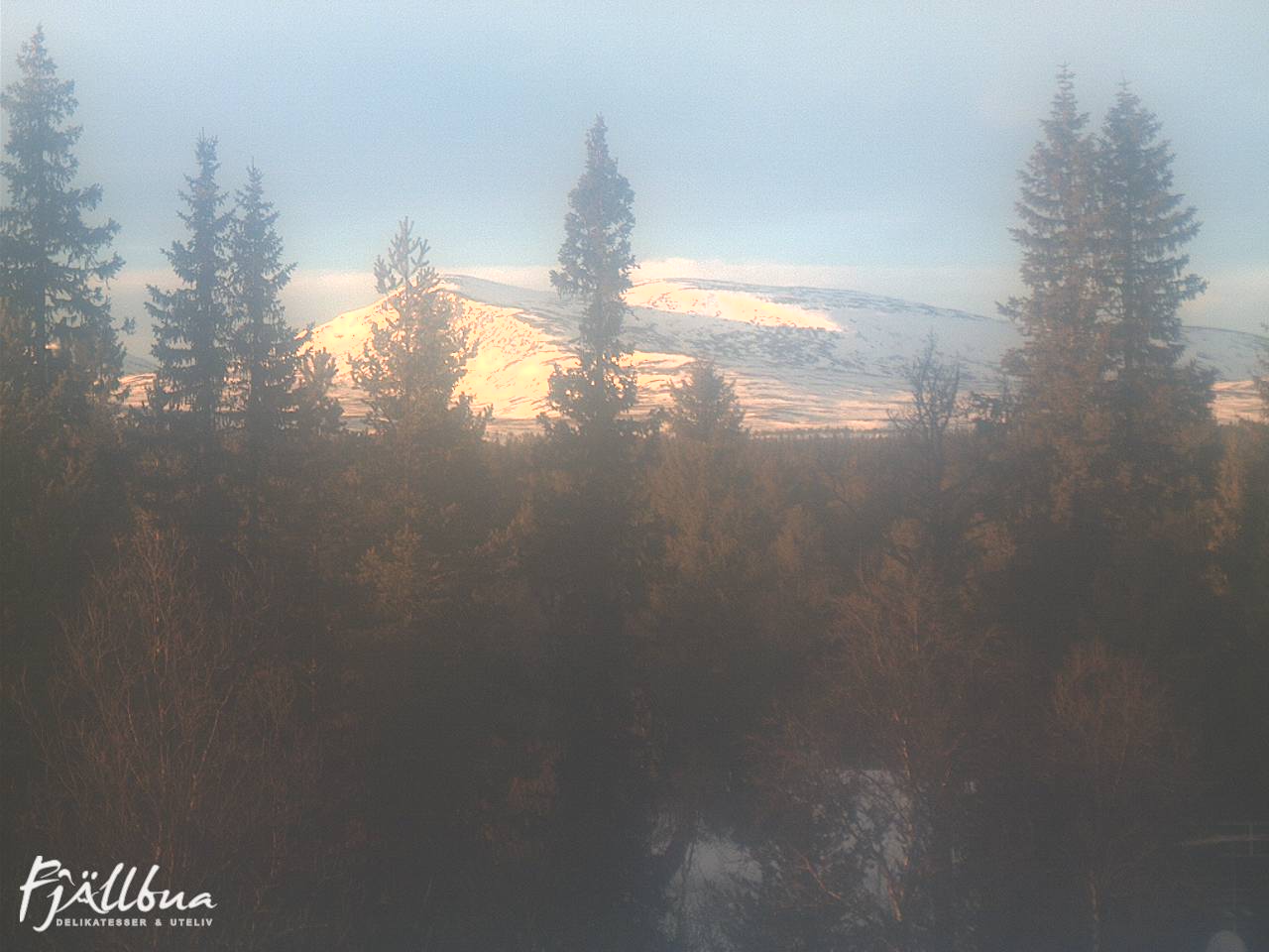 Fjällbua webcam 2025-01-17 14:30