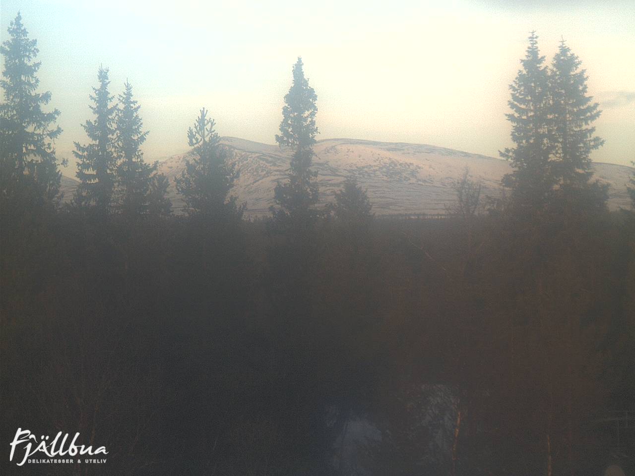 Fjällbua webcam 2025-01-18 10:30