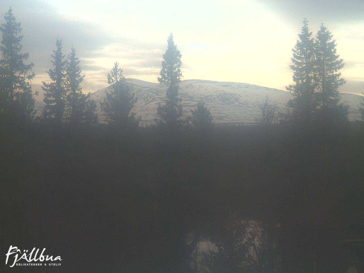 Fjällbua webcam 2025-01-18 11:00