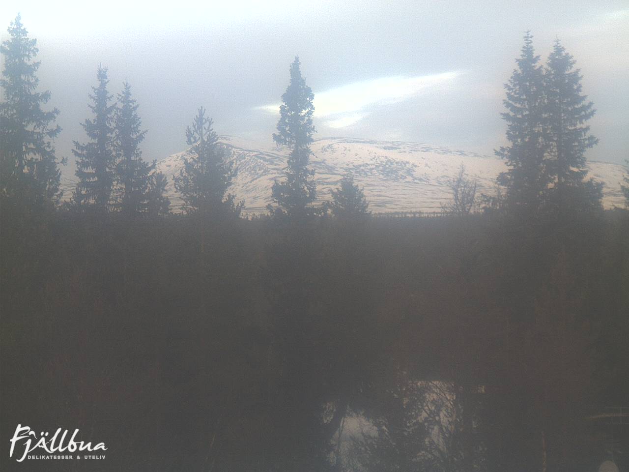 Fjällbua webcam 2025-01-18 12:00