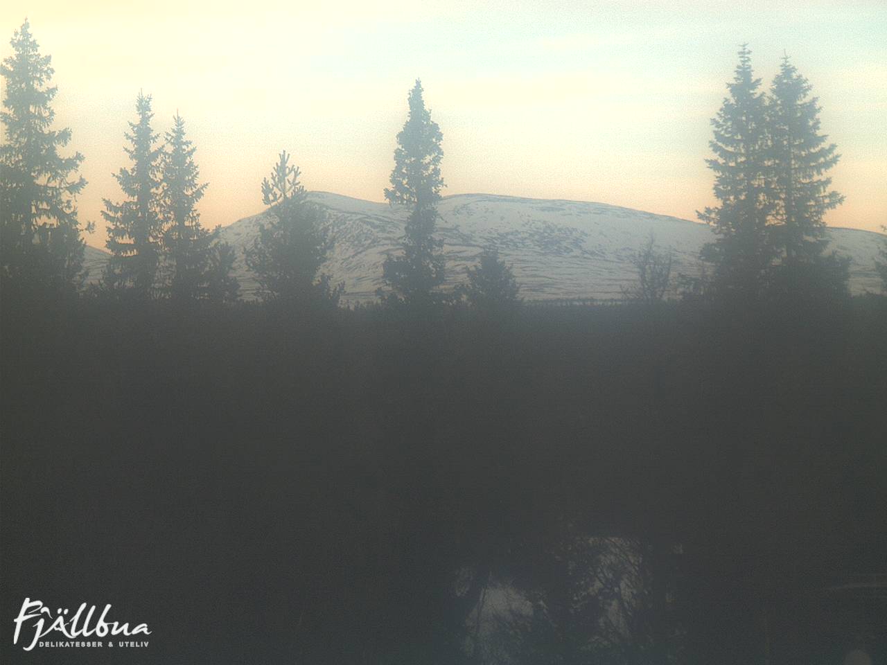 Fjällbua webcam 2025-01-18 14:00