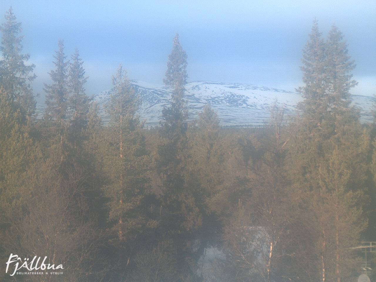 Fjällbua webcam 2025-01-19 11:00