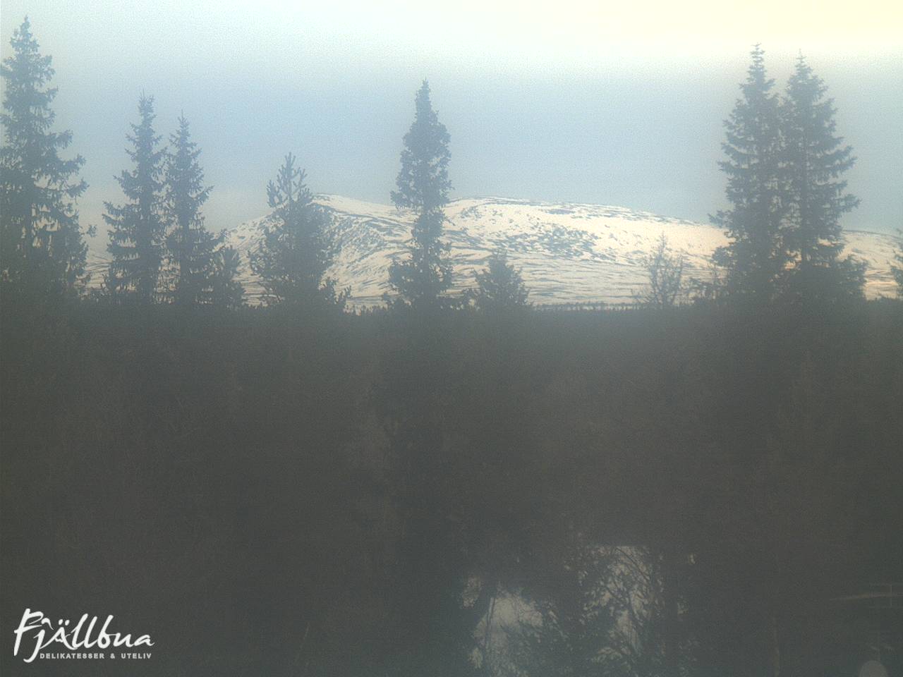 Fjällbua webcam 2025-01-19 11:30