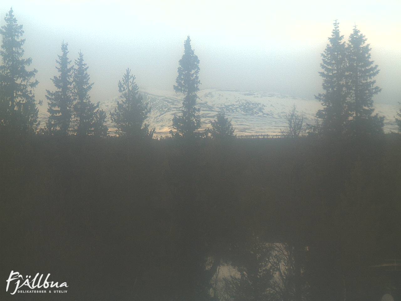 Fjällbua webcam 2025-01-19 13:30