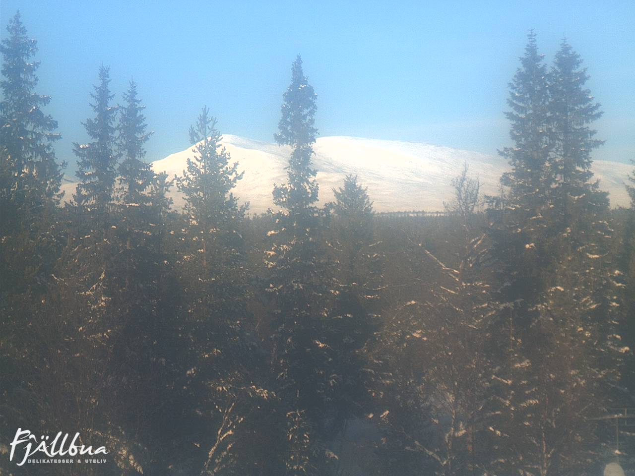 Fjällbua webcam 2025-01-26 11:30